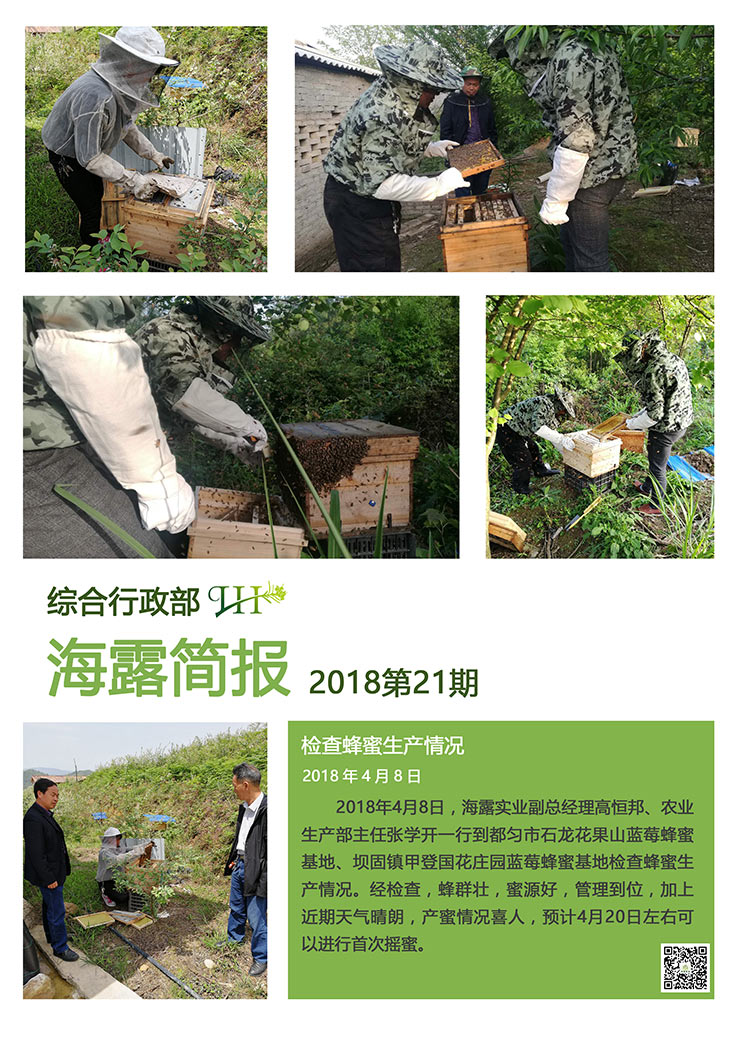 rb88随行版-rb88手机随行版登录入口