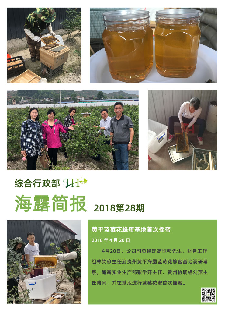 rb88随行版-rb88手机随行版登录入口