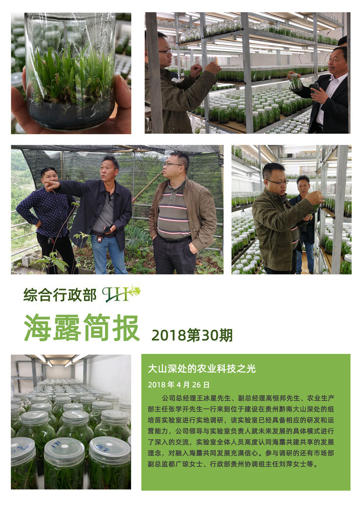 rb88随行版-rb88手机随行版登录入口