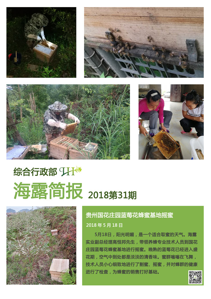 rb88随行版-rb88手机随行版登录入口