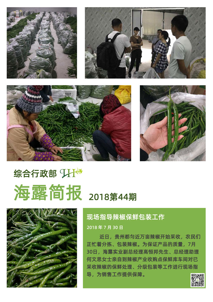 rb88随行版-rb88手机随行版登录入口