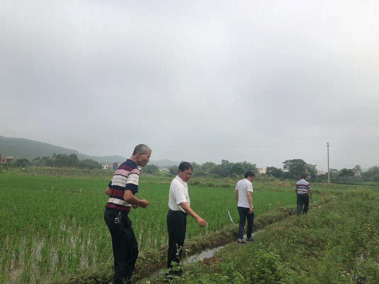 rb88随行版-rb88手机随行版登录入口