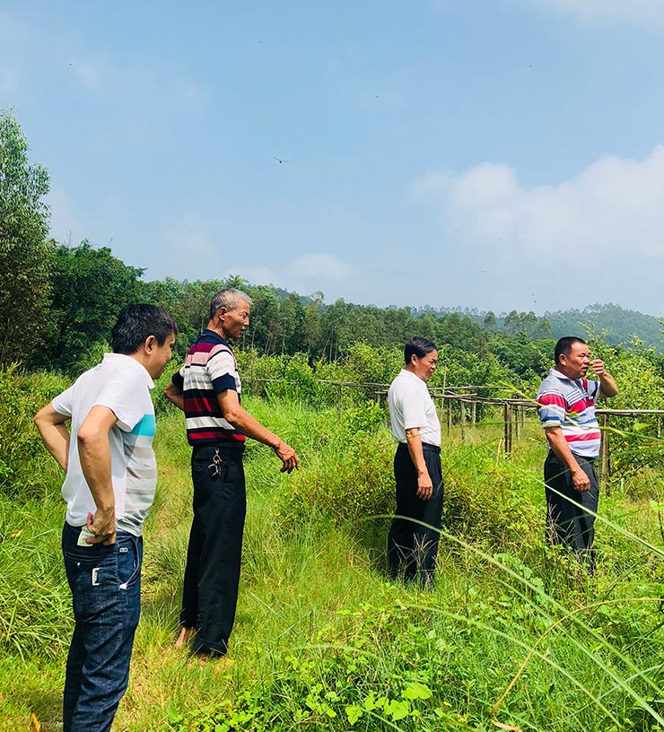 rb88随行版-rb88手机随行版登录入口