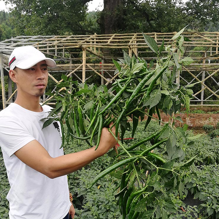 rb88随行版-rb88手机随行版登录入口