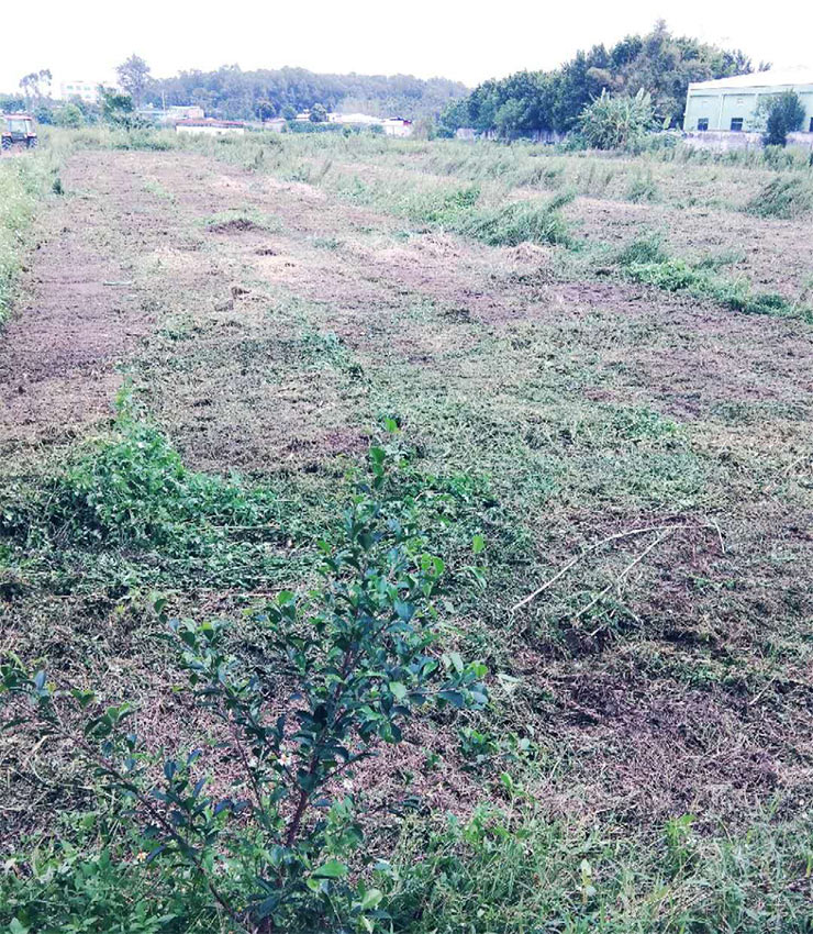 rb88随行版-rb88手机随行版登录入口