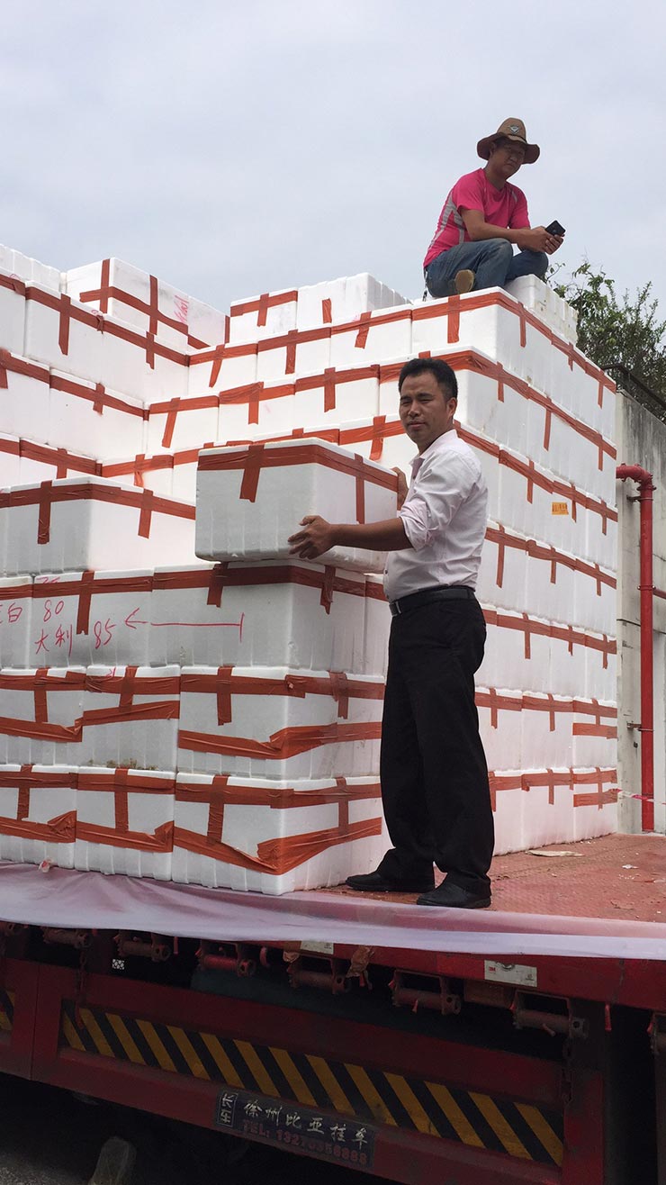 rb88随行版-rb88手机随行版登录入口