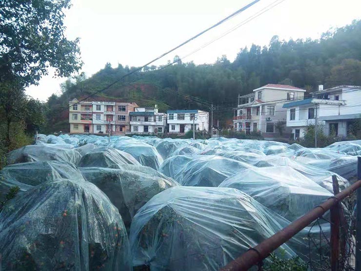 rb88随行版-rb88手机随行版登录入口