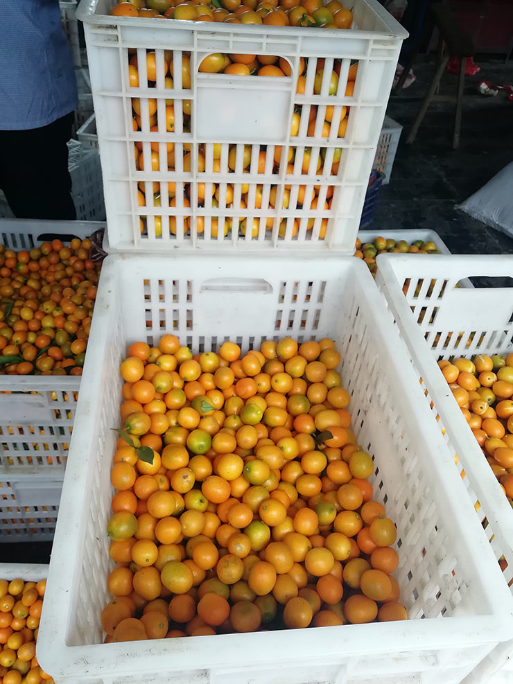 rb88随行版-rb88手机随行版登录入口