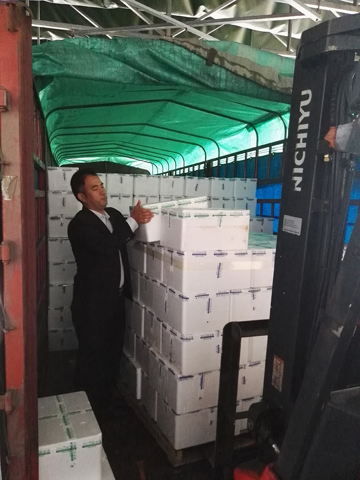 rb88随行版-rb88手机随行版登录入口