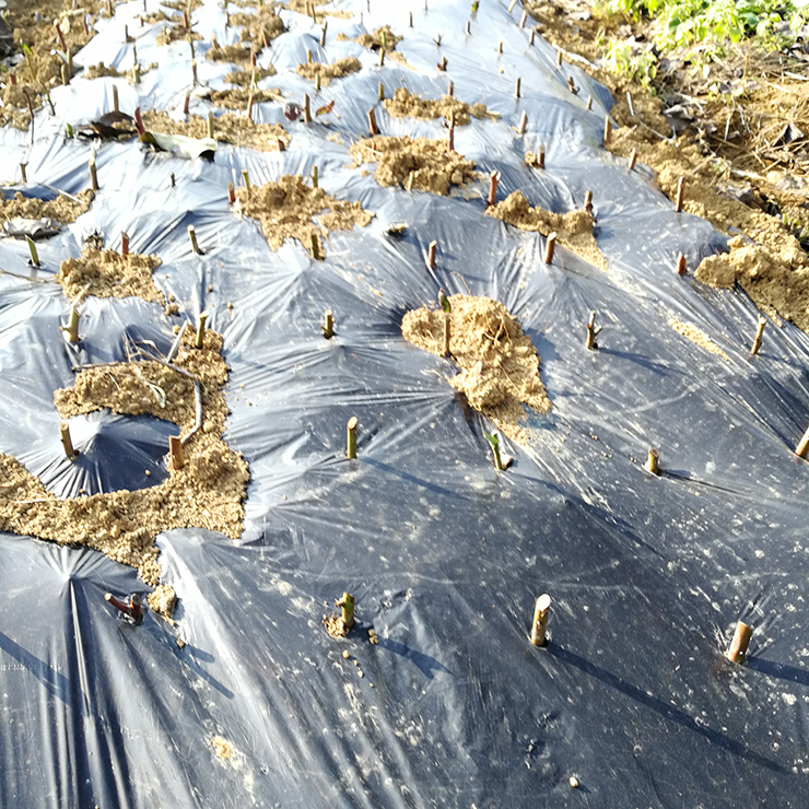 rb88随行版-rb88手机随行版登录入口