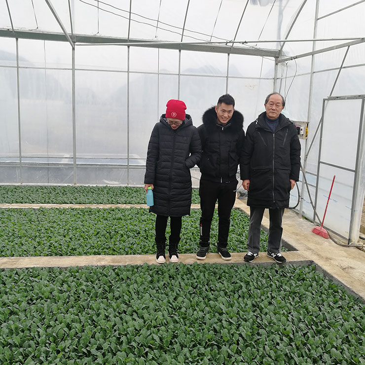 rb88随行版-rb88手机随行版登录入口