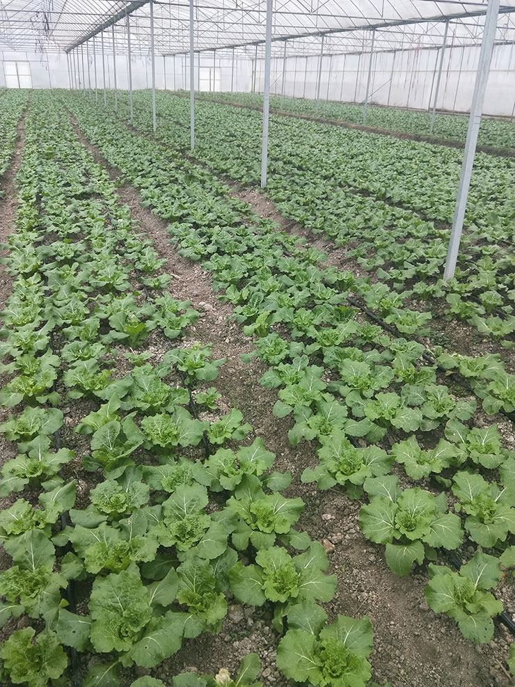 rb88随行版-rb88手机随行版登录入口