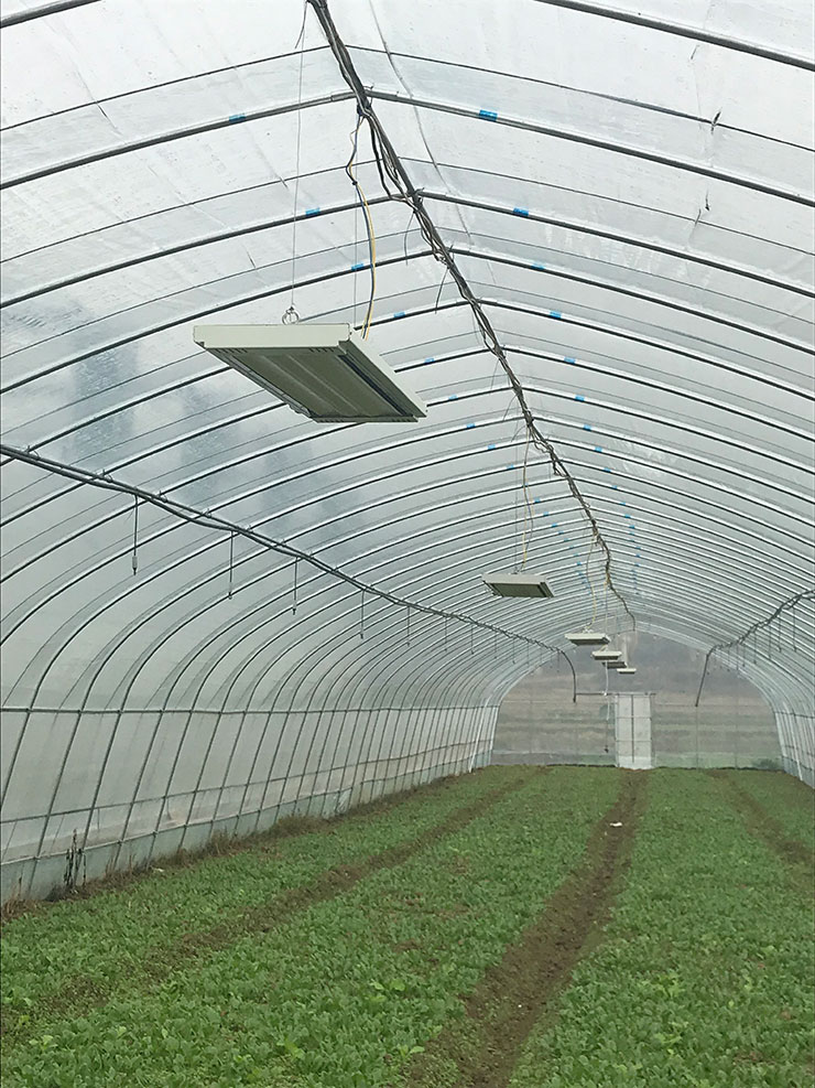 rb88随行版-rb88手机随行版登录入口