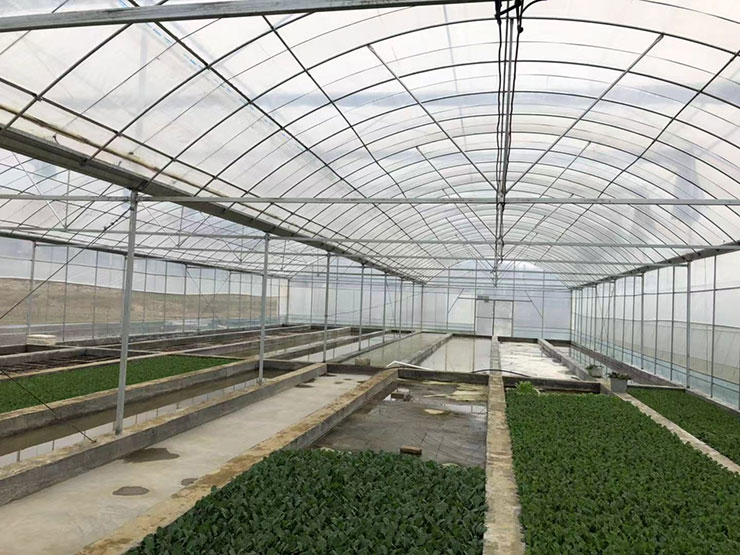 rb88随行版-rb88手机随行版登录入口