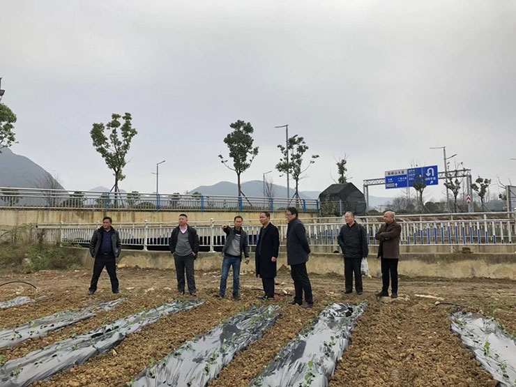 rb88随行版-rb88手机随行版登录入口