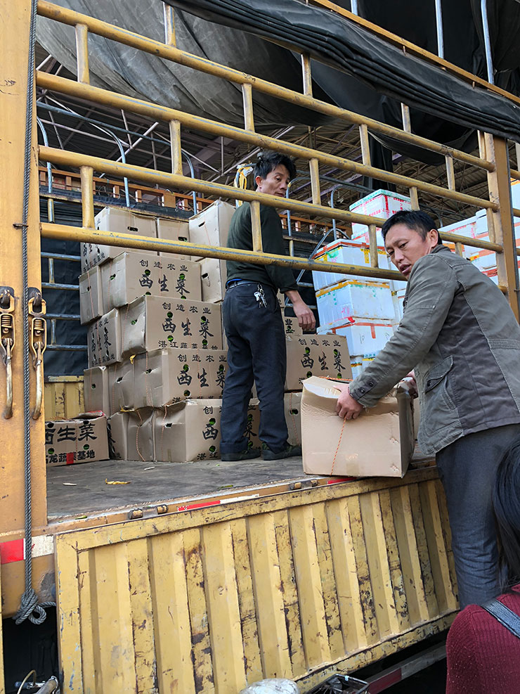 rb88随行版-rb88手机随行版登录入口