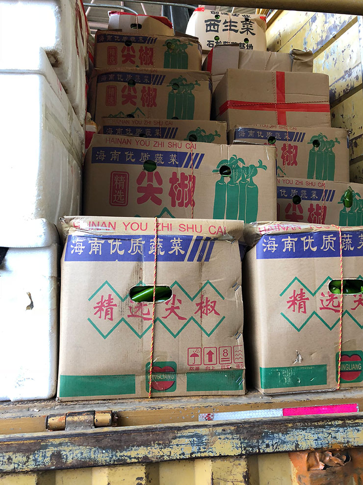 rb88随行版-rb88手机随行版登录入口