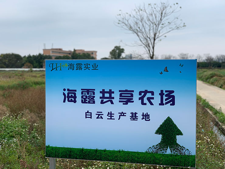 rb88随行版-rb88手机随行版登录入口