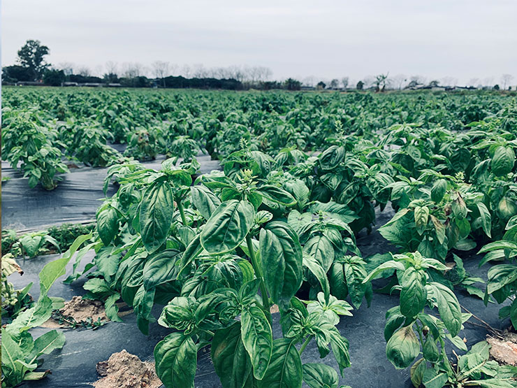 rb88随行版-rb88手机随行版登录入口