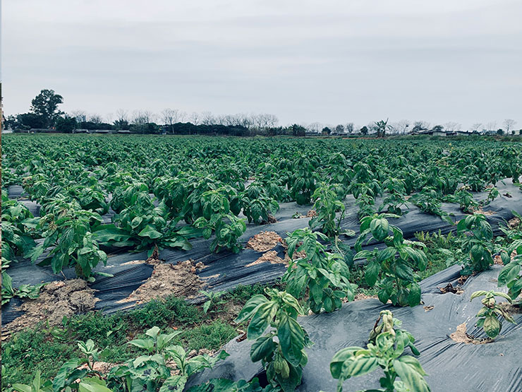 rb88随行版-rb88手机随行版登录入口