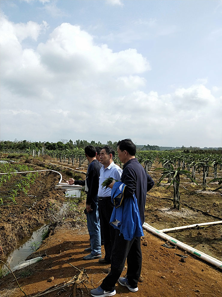 rb88随行版-rb88手机随行版登录入口