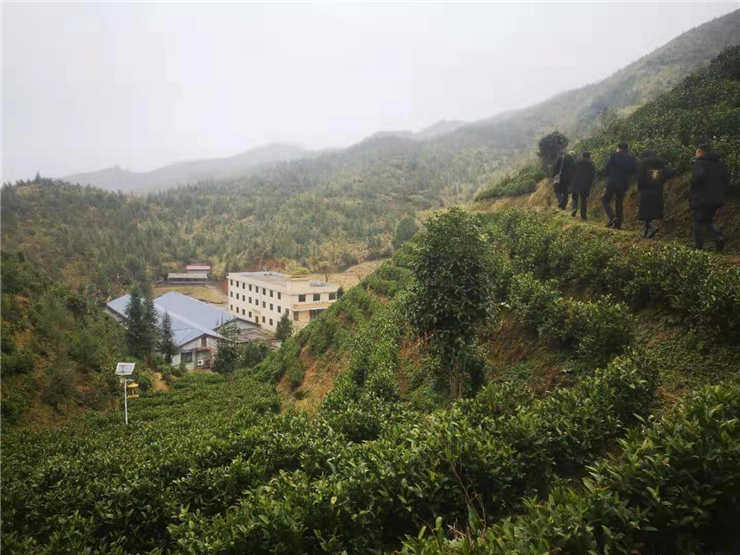 rb88随行版-rb88手机随行版登录入口