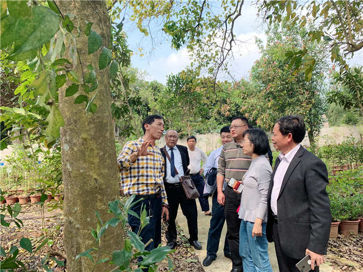 rb88随行版-rb88手机随行版登录入口