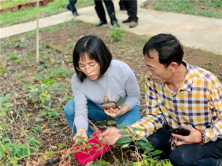 rb88随行版-rb88手机随行版登录入口