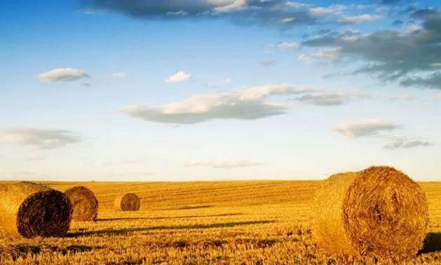 rb88随行版-rb88手机随行版登录入口