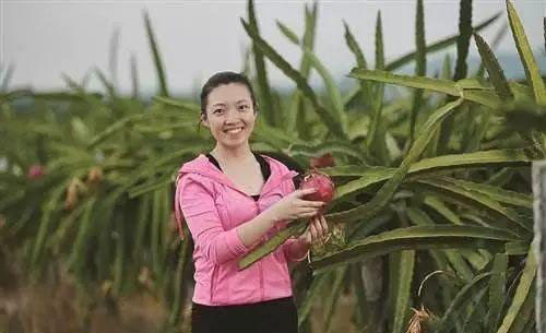 rb88随行版-rb88手机随行版登录入口