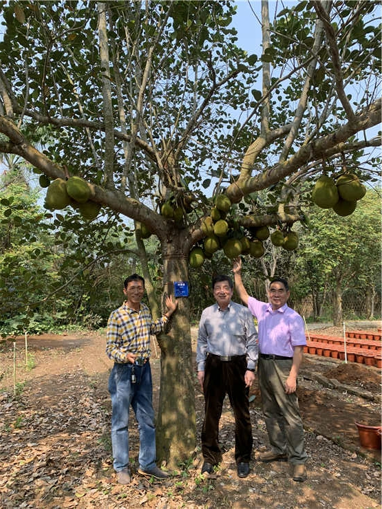 rb88随行版-rb88手机随行版登录入口