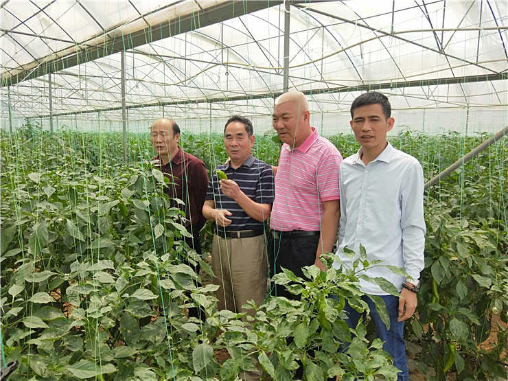 rb88随行版-rb88手机随行版登录入口