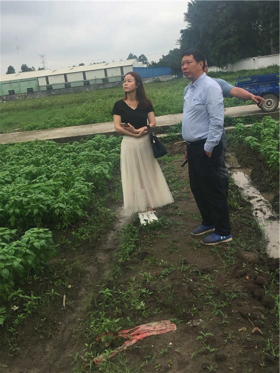 rb88随行版-rb88手机随行版登录入口