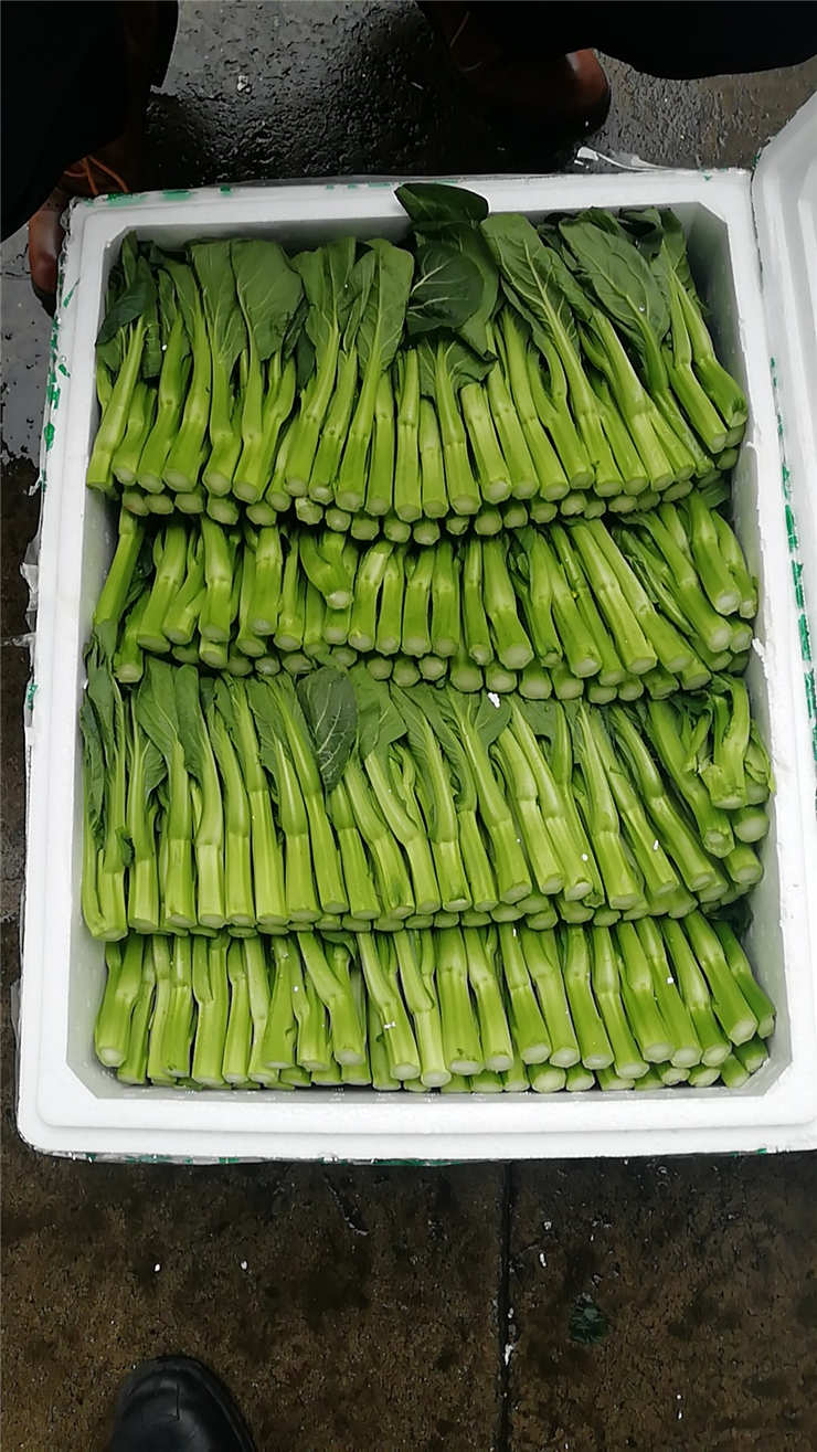 rb88随行版-rb88手机随行版登录入口