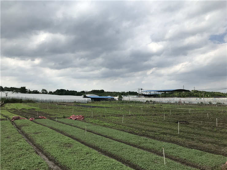 rb88随行版-rb88手机随行版登录入口