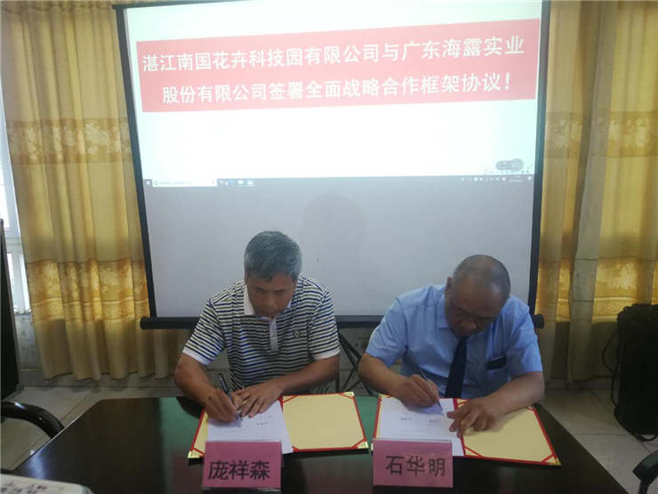 rb88随行版-rb88手机随行版登录入口