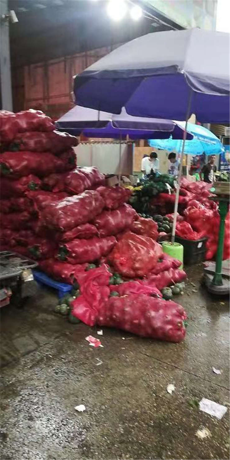 rb88随行版-rb88手机随行版登录入口