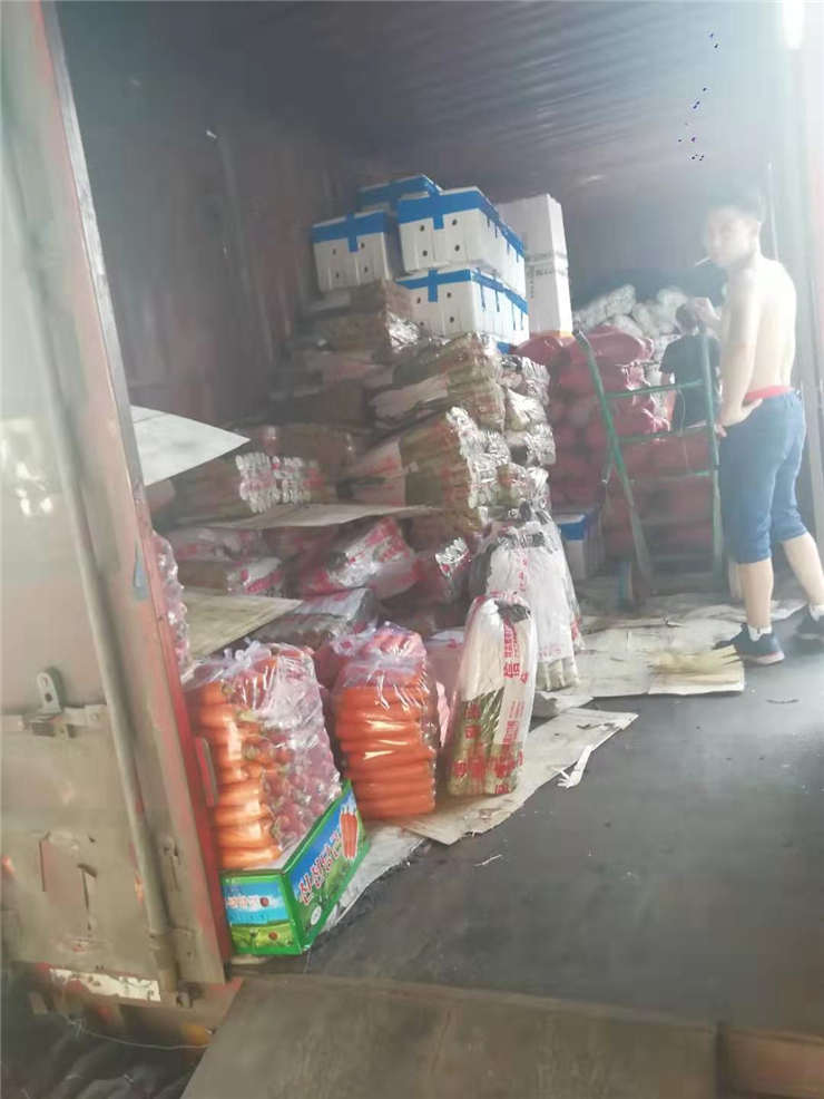 rb88随行版-rb88手机随行版登录入口