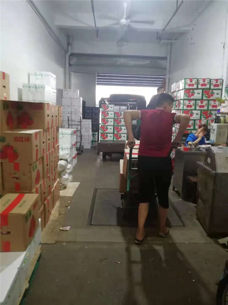 rb88随行版-rb88手机随行版登录入口