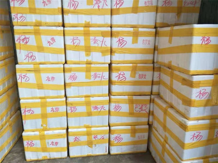 rb88随行版-rb88手机随行版登录入口