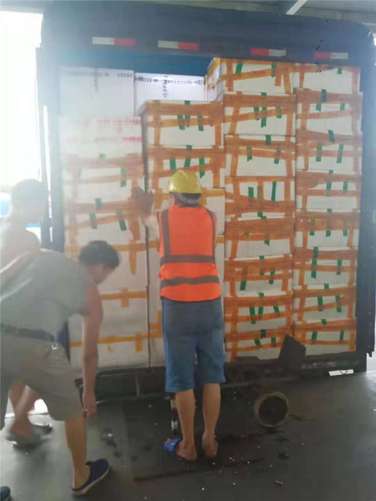 rb88随行版-rb88手机随行版登录入口