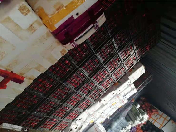 rb88随行版-rb88手机随行版登录入口