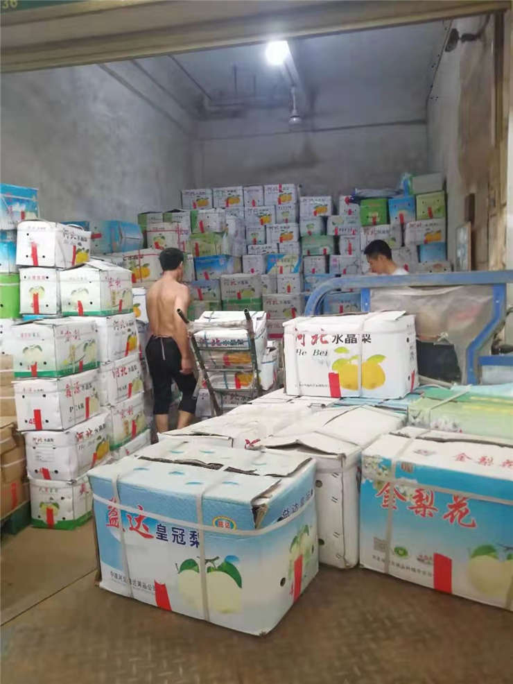 rb88随行版-rb88手机随行版登录入口