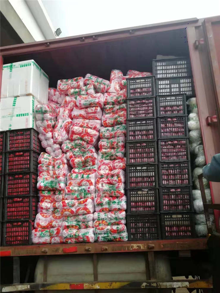 rb88随行版-rb88手机随行版登录入口