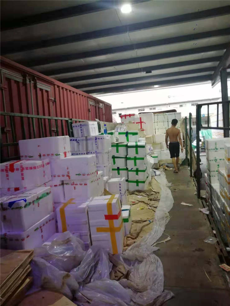 rb88随行版-rb88手机随行版登录入口