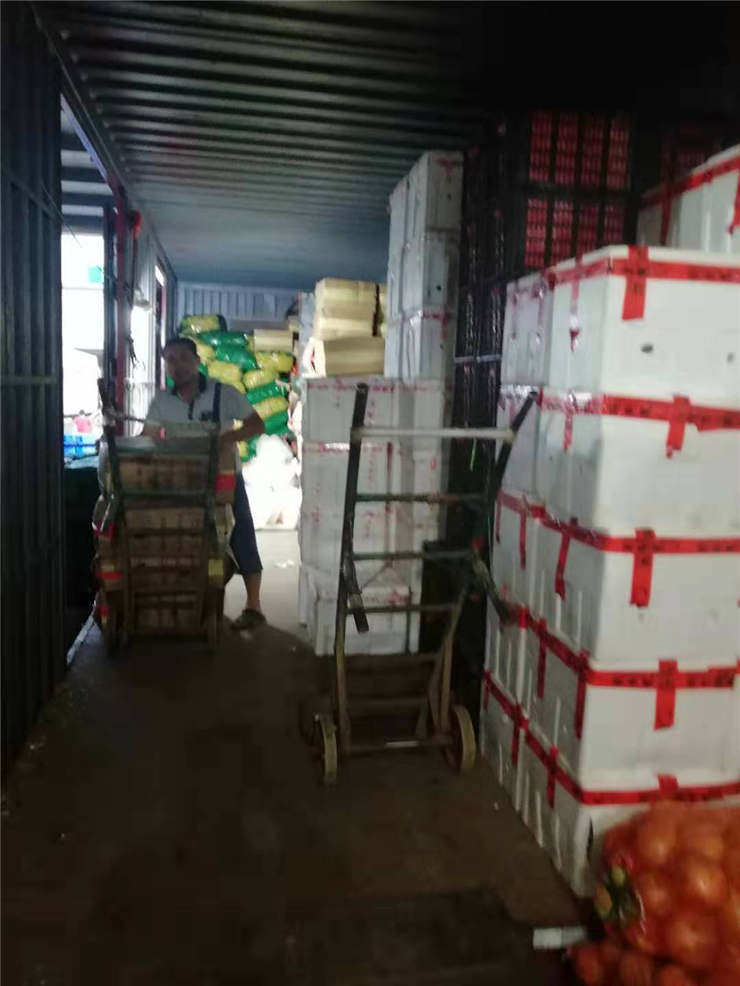 rb88随行版-rb88手机随行版登录入口