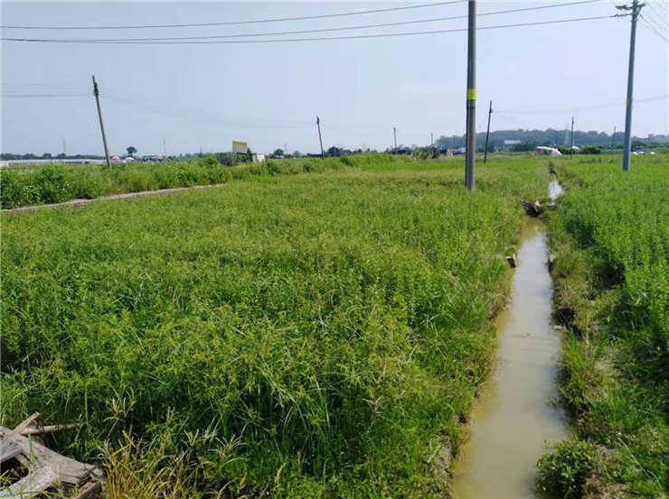 rb88随行版-rb88手机随行版登录入口