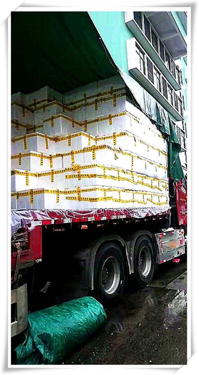 rb88随行版-rb88手机随行版登录入口