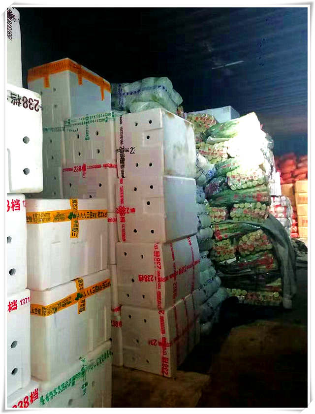 rb88随行版-rb88手机随行版登录入口