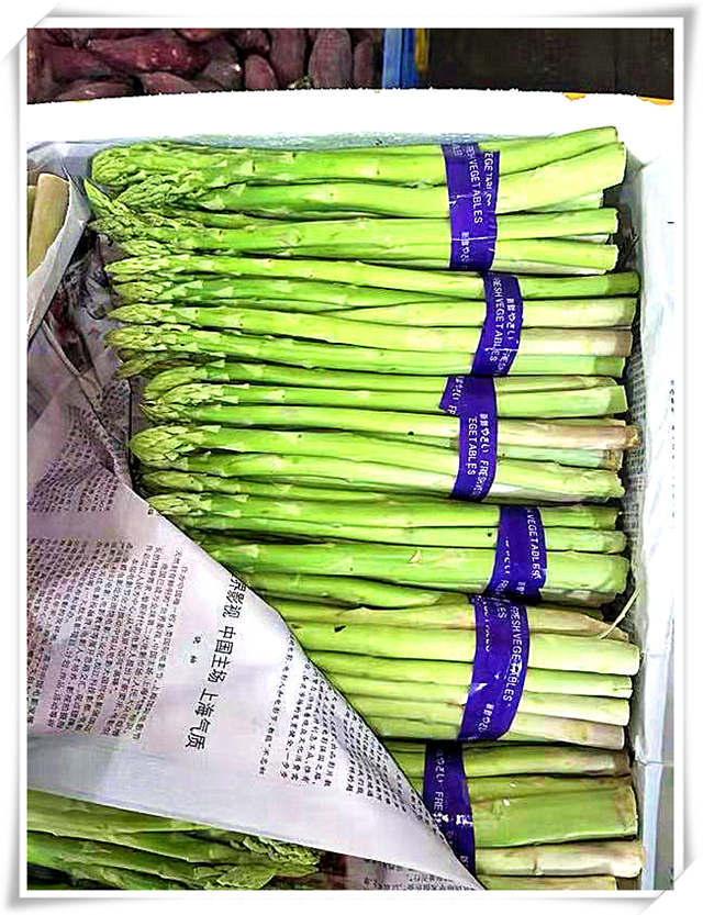 rb88随行版-rb88手机随行版登录入口